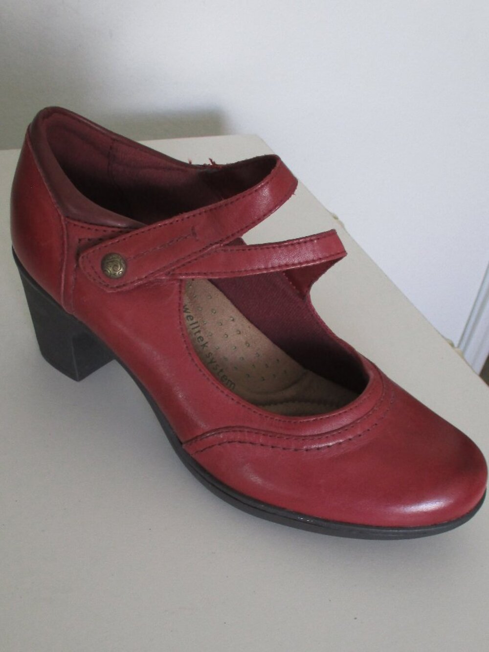 Earth Origins "Bristol" Womens Wine Red Leather Mary Jane 2" Heel NWOB - Size 8M